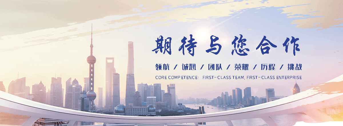 眉山海狮租赁公司